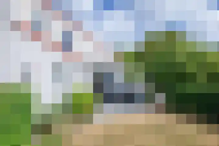 Roggeslootweg 694 De Cocksdorp thumbnail 30