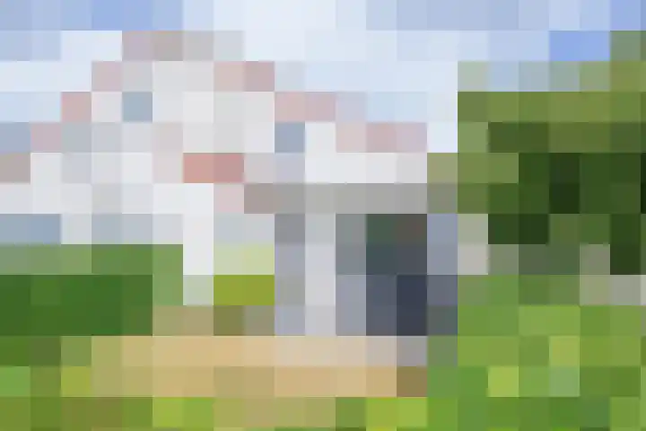 Roggeslootweg 694 De Cocksdorp thumbnail 31