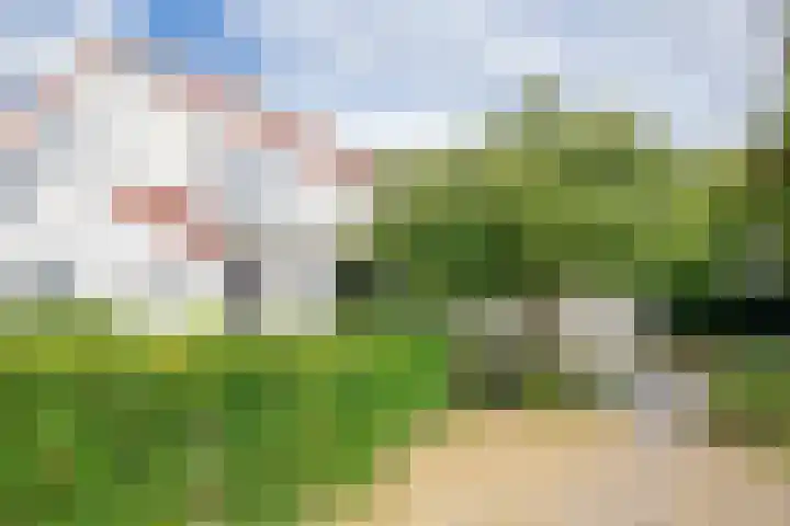 Roggeslootweg 694 De Cocksdorp thumbnail 32