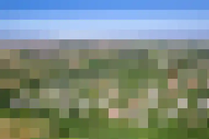 Roggeslootweg 694 De Cocksdorp thumbnail 33