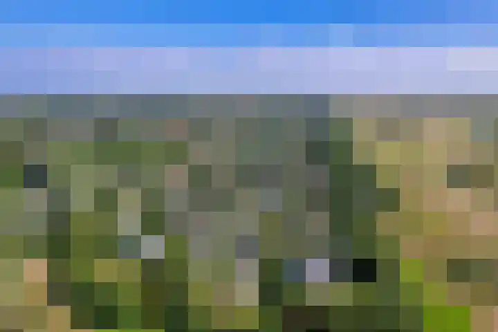 Roggeslootweg 694 De Cocksdorp thumbnail 36