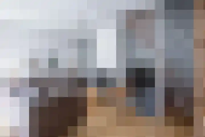 Roggeslootweg 694 De Cocksdorp thumbnail 6