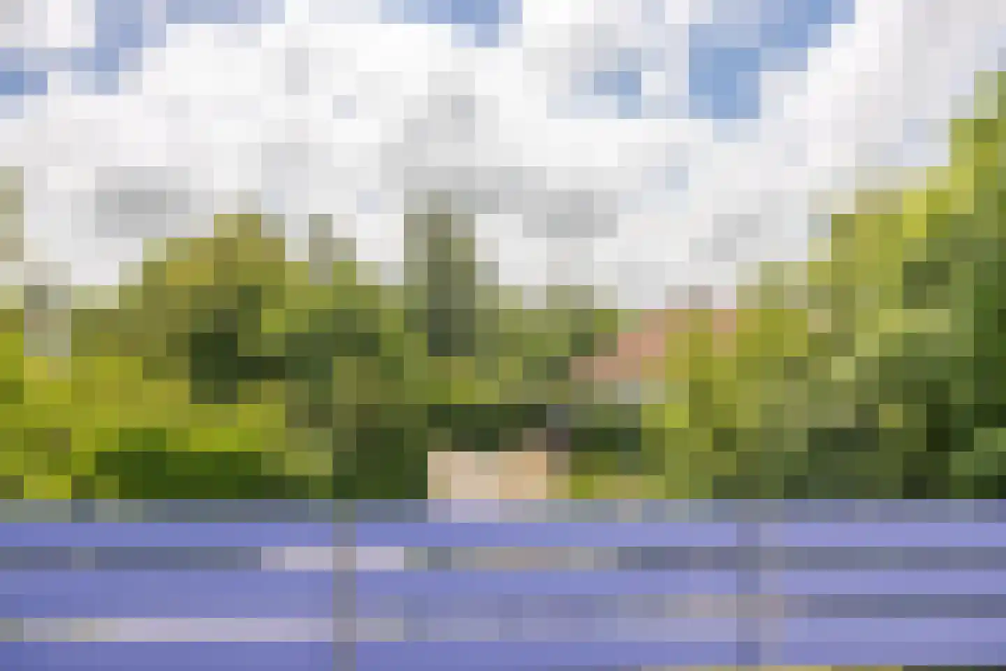 Roggeslootweg 700 De Cocksdorp thumbnail 25
