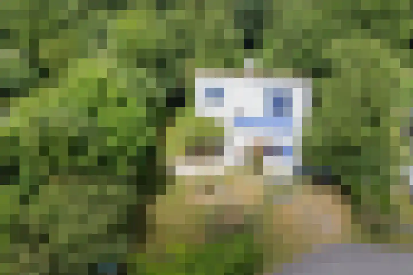 Roggeslootweg 700 De Cocksdorp thumbnail 26