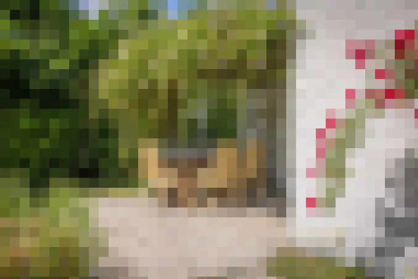Roggeslootweg 700 De Cocksdorp thumbnail 36
