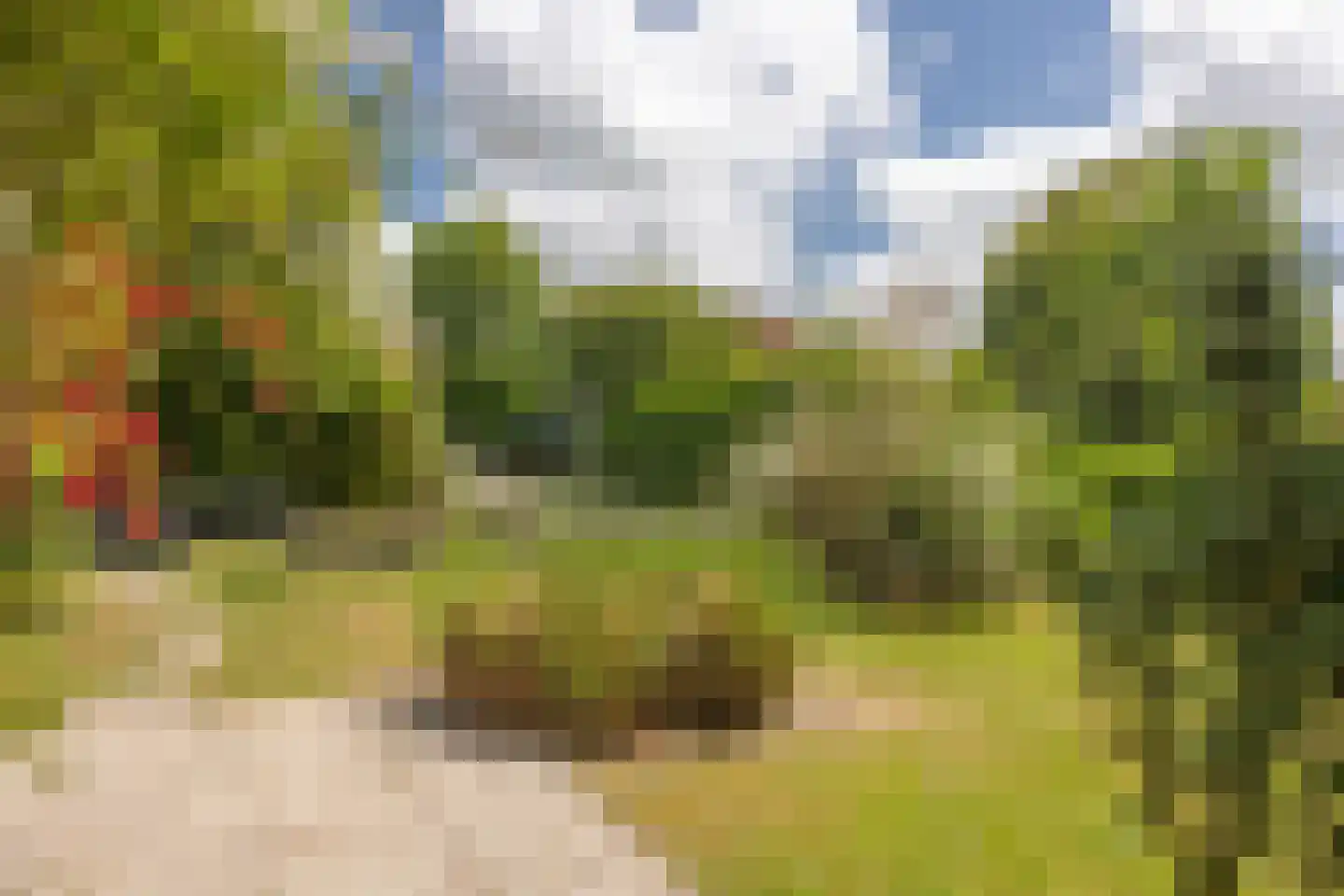 Roggeslootweg 700 De Cocksdorp thumbnail 37