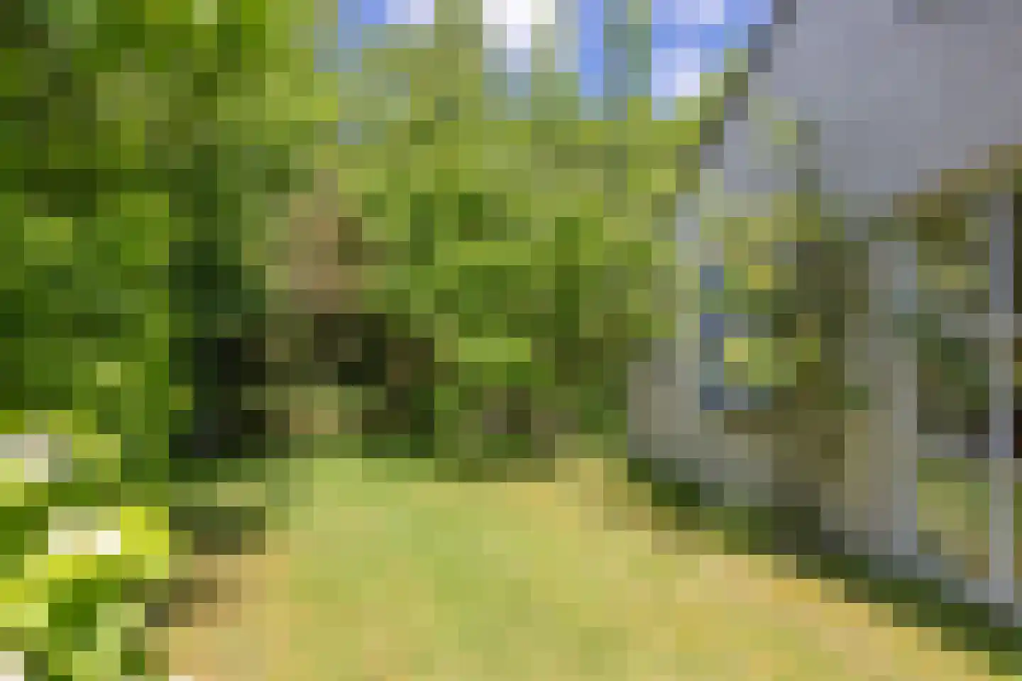Roggeslootweg 700 De Cocksdorp thumbnail 38