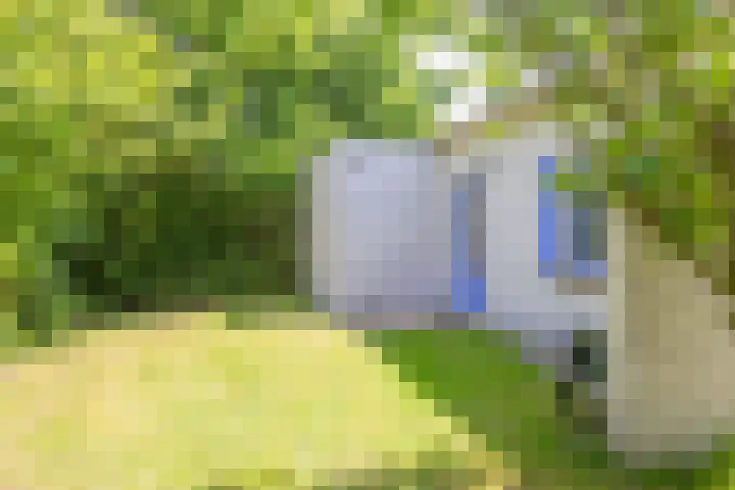 Roggeslootweg 700 De Cocksdorp thumbnail 41