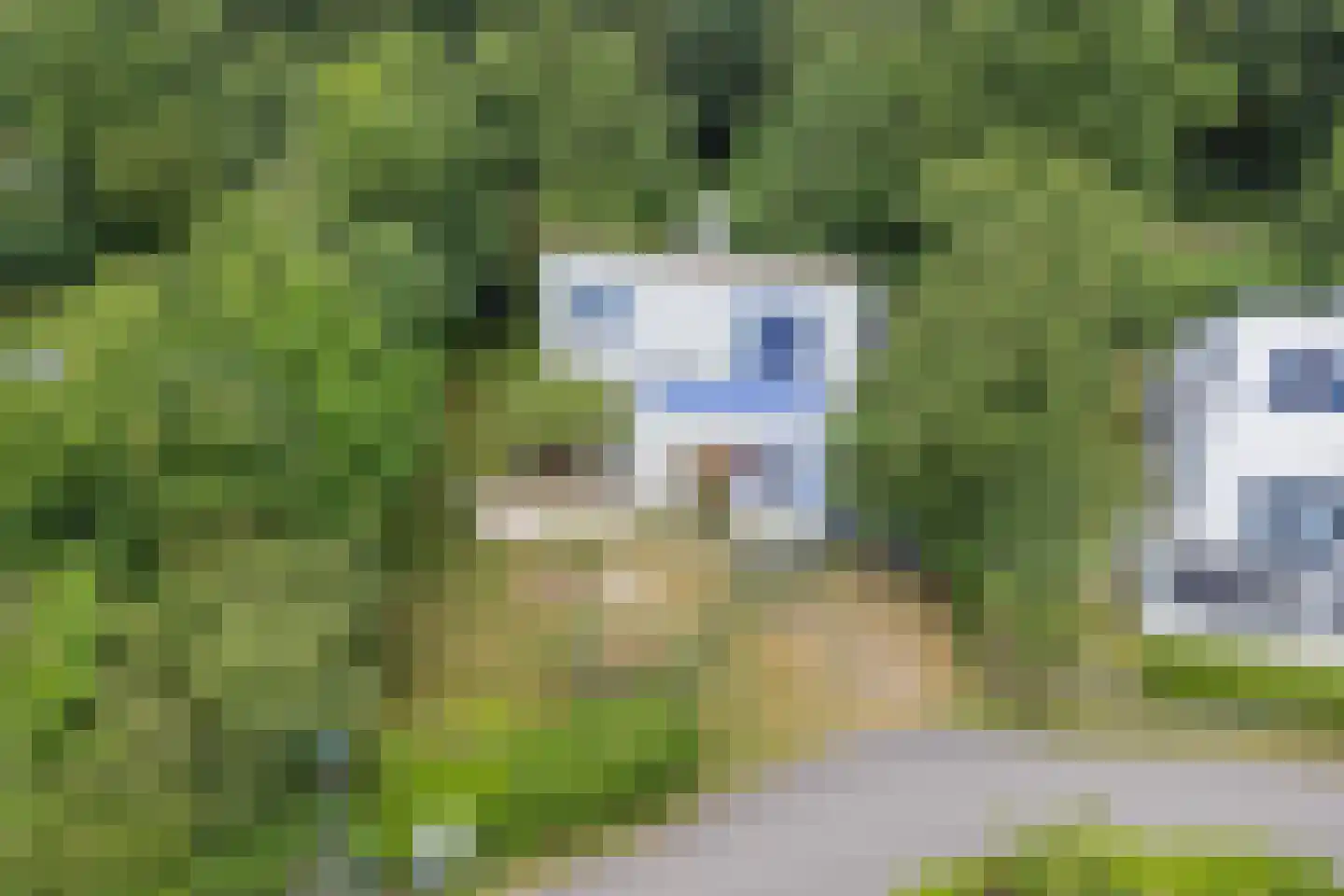 Roggeslootweg 700 De Cocksdorp thumbnail 44