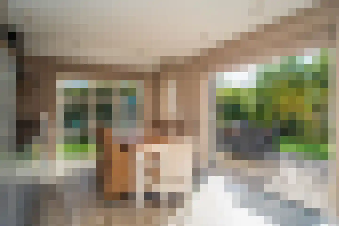 Roggeslootweg 701 De Cocksdorp thumbnail 19
