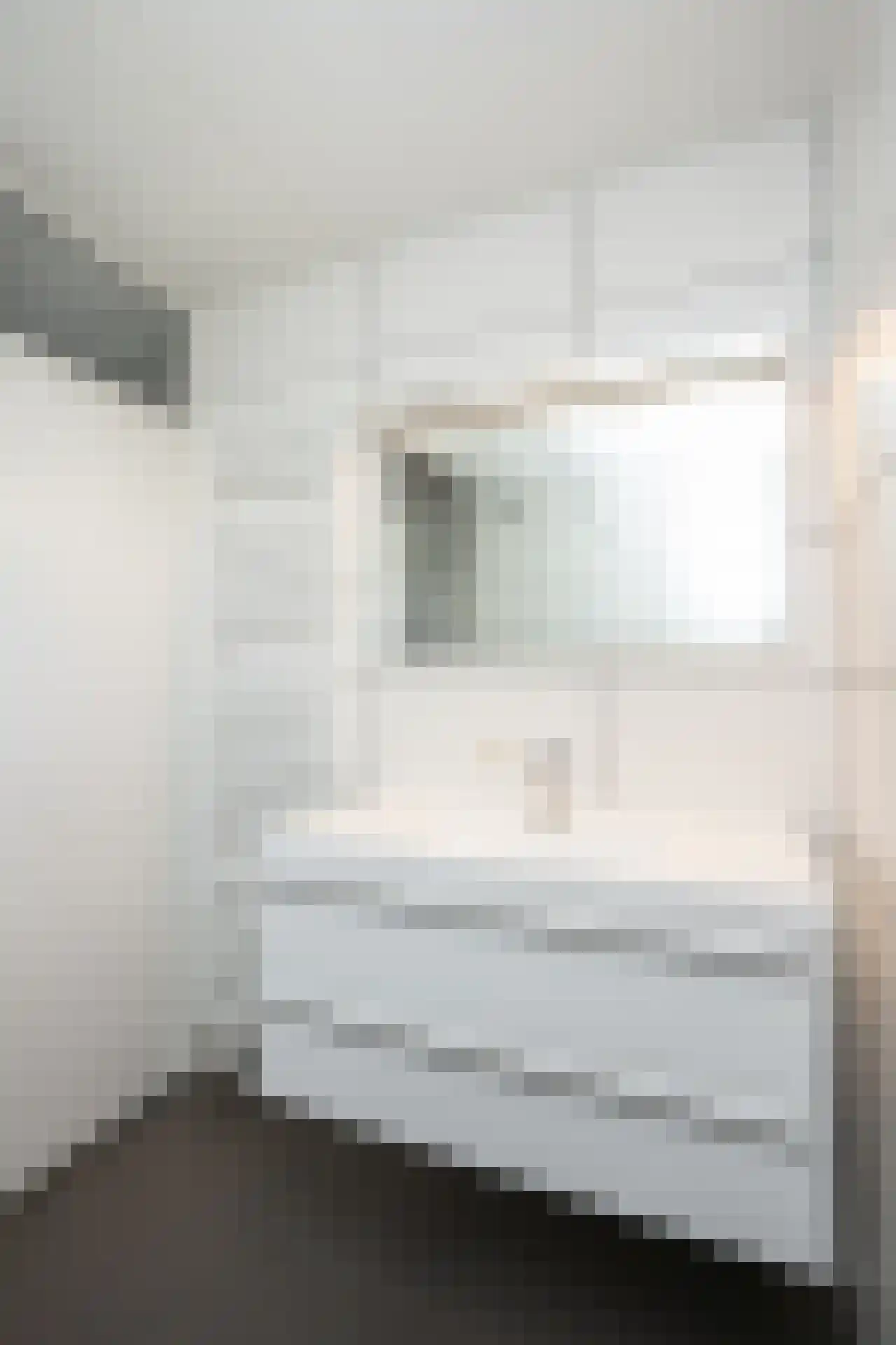 Roggeslootweg 710 De Cocksdorp thumbnail 22