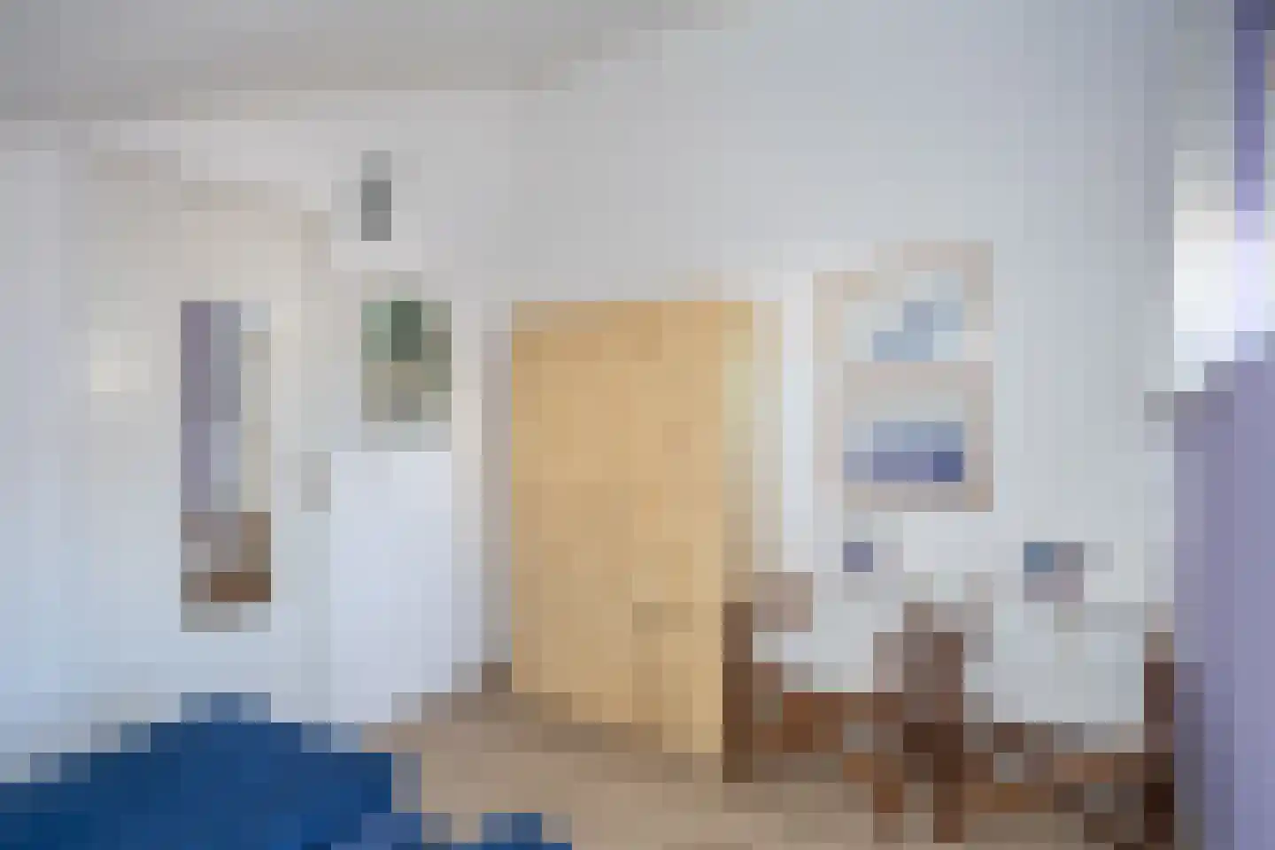 Roggeslootweg 710 De Cocksdorp thumbnail 31