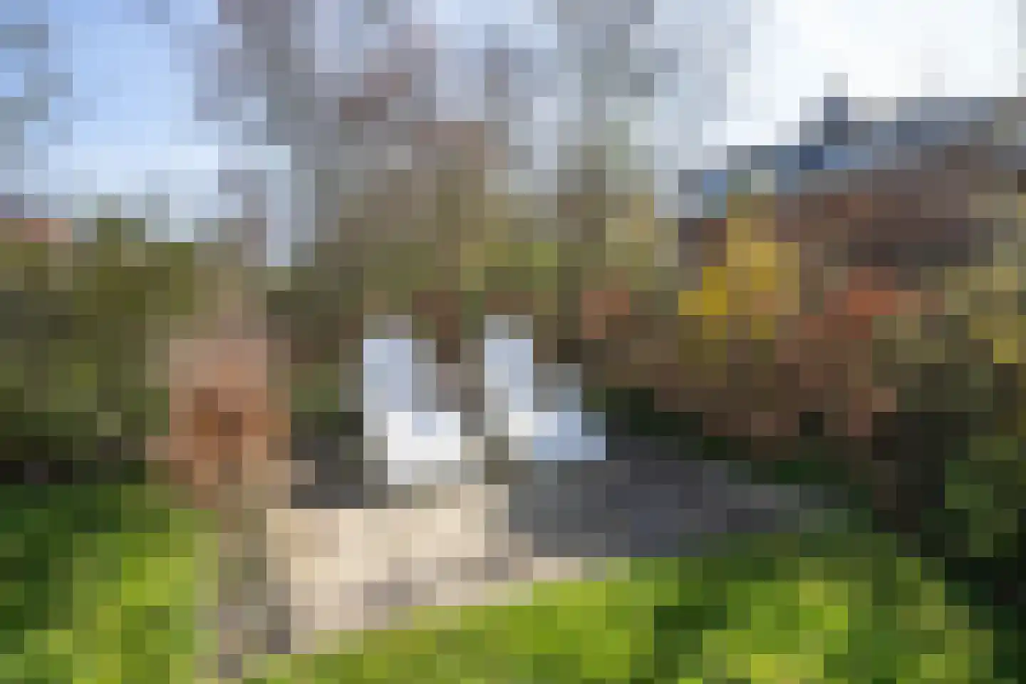 Roggeslootweg 710 De Cocksdorp thumbnail 53