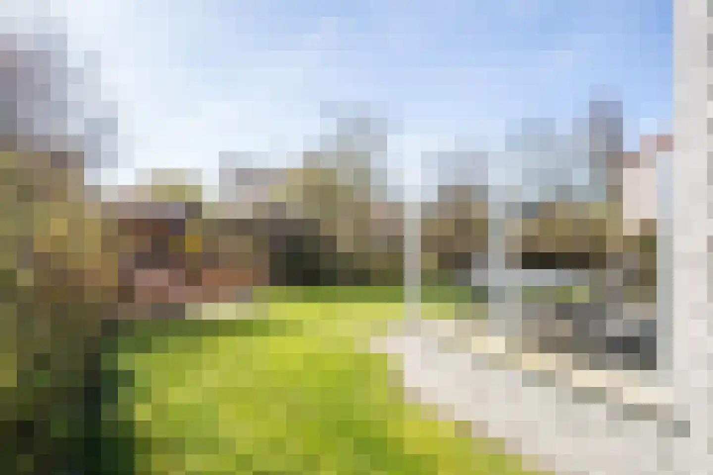 Roggeslootweg 710 De Cocksdorp thumbnail 55