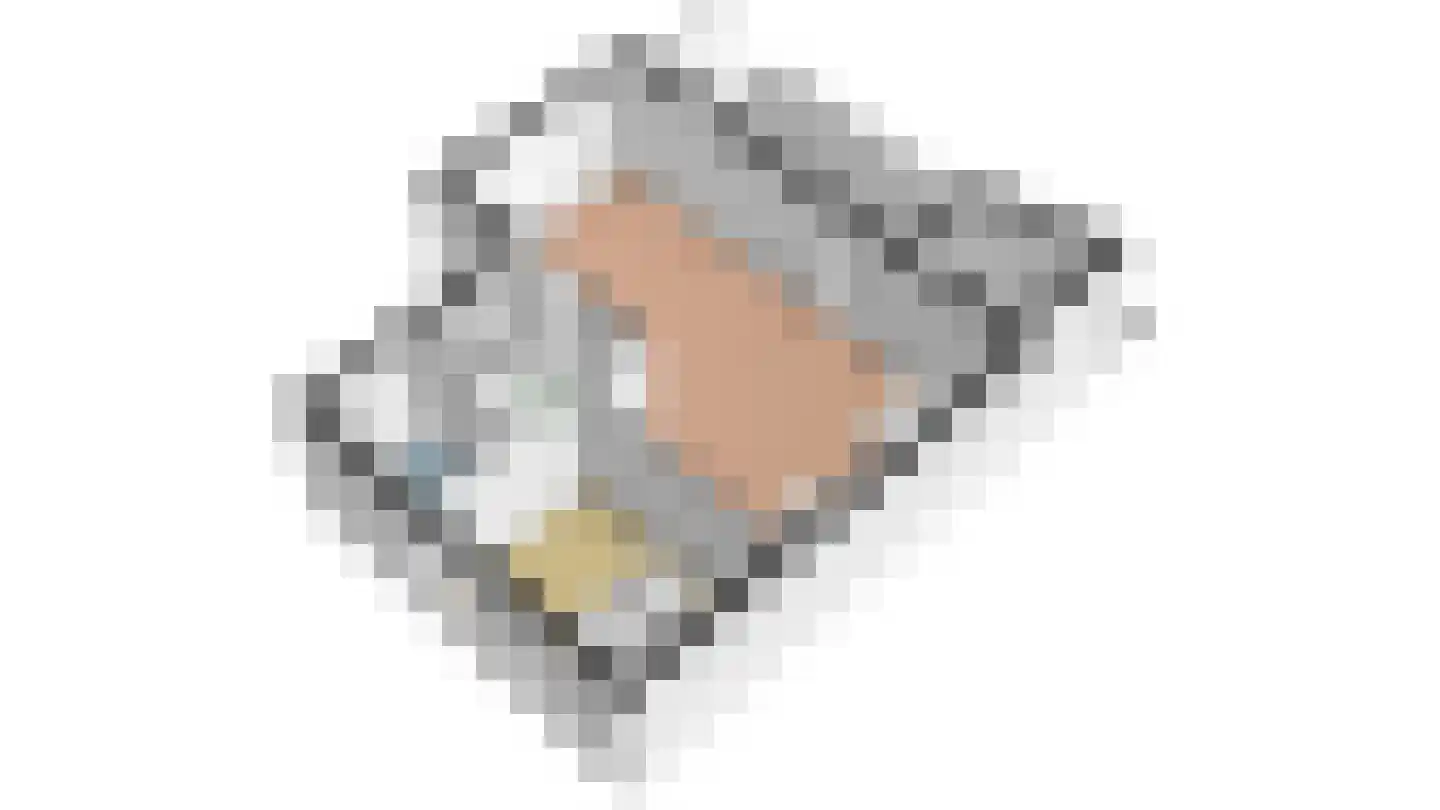 Roggeslootweg 710 De Cocksdorp thumbnail 58