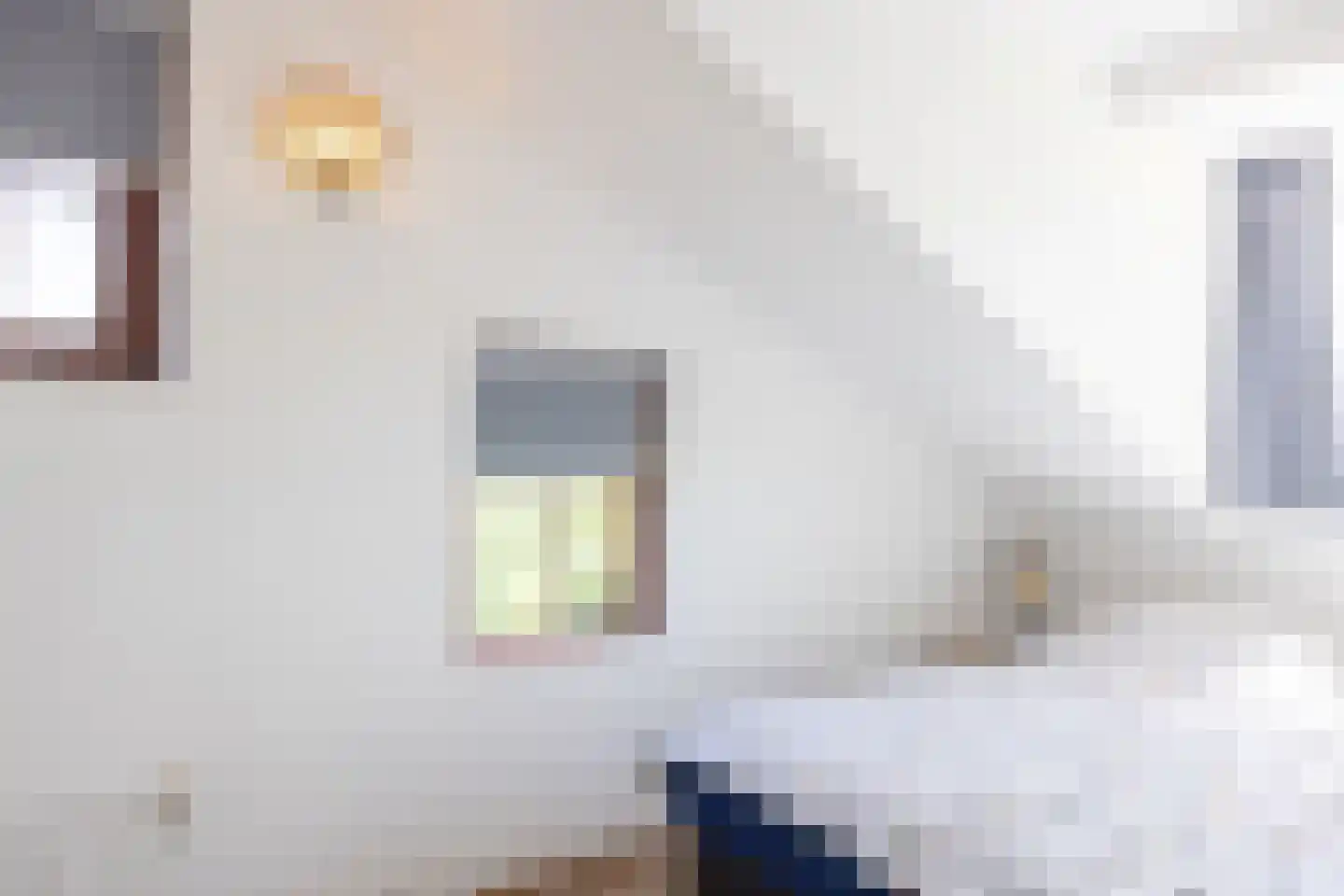 Roggeslootweg 711 De Cocksdorp thumbnail 17