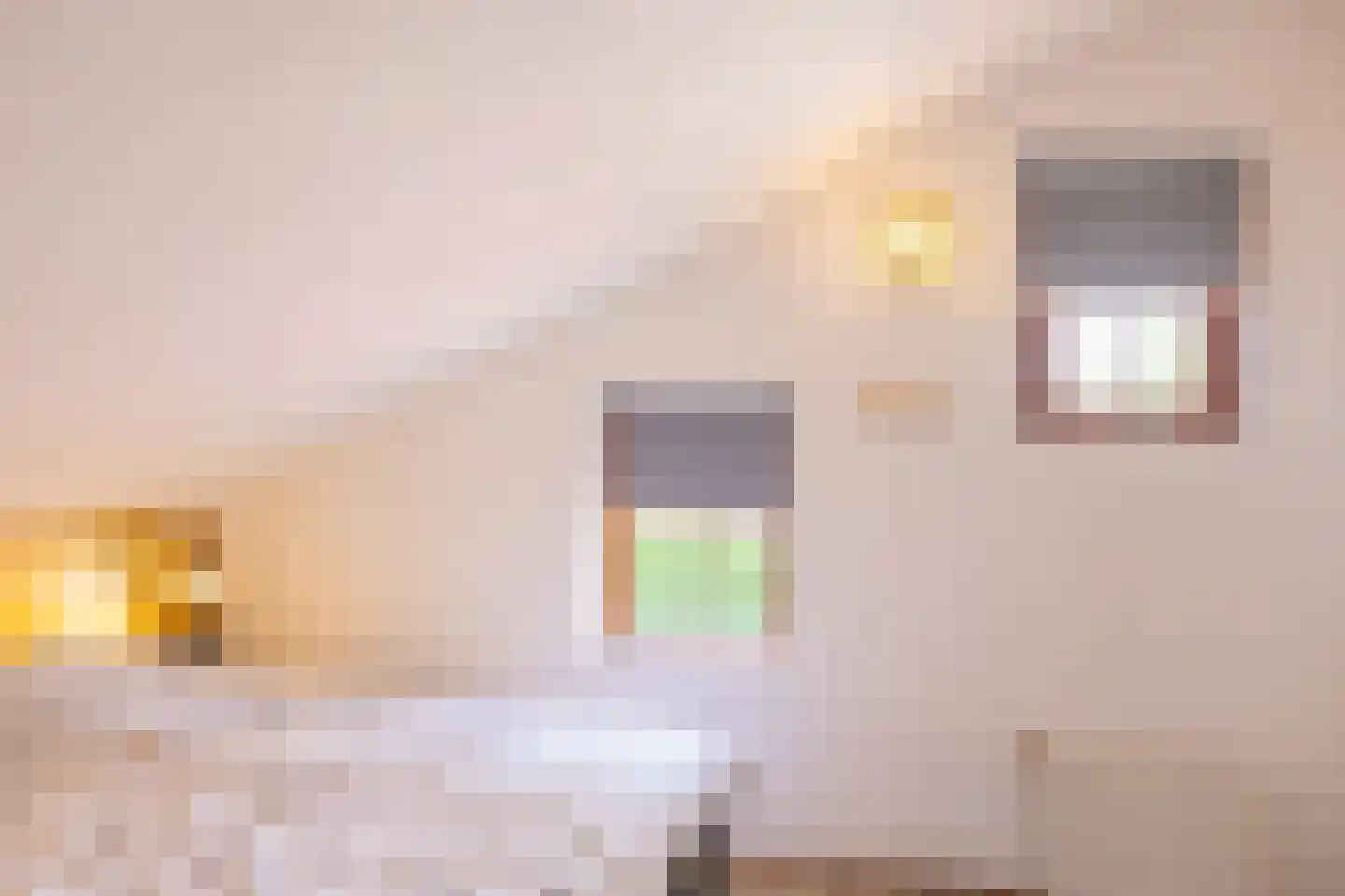 Roggeslootweg 711 De Cocksdorp thumbnail 19