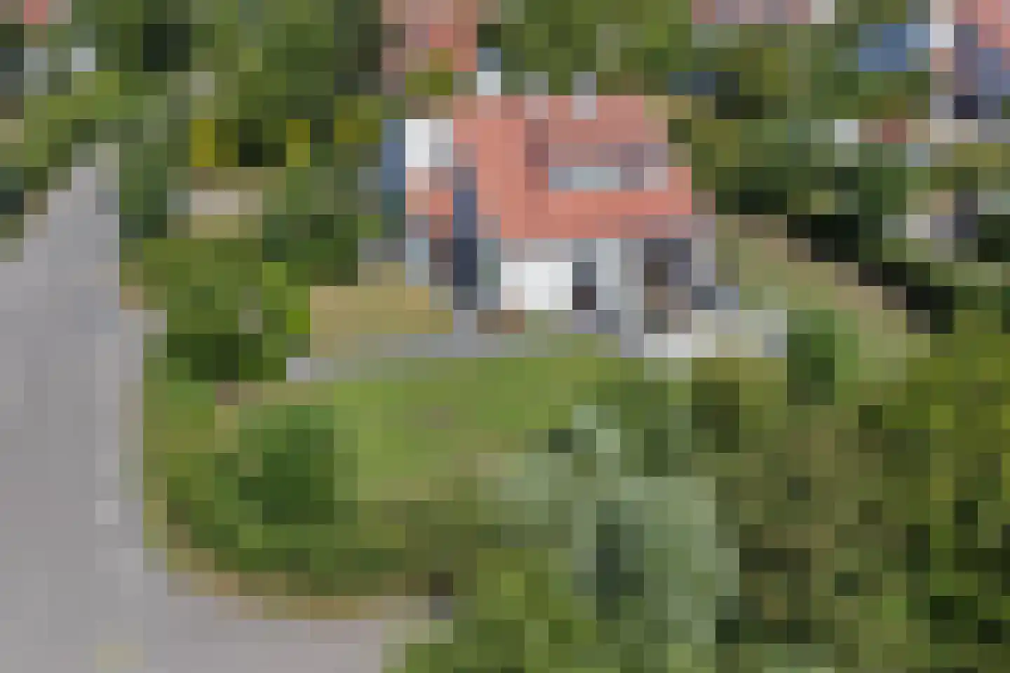 Roggeslootweg 711 De Cocksdorp thumbnail 22