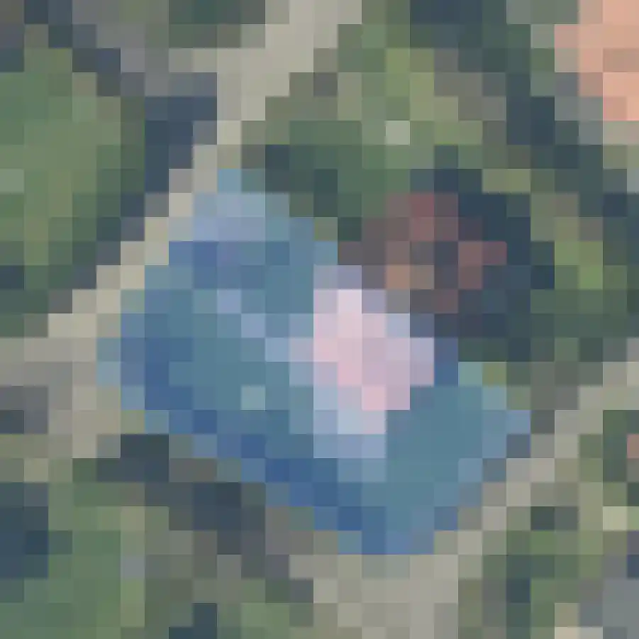 Roggeslootweg 711 De Cocksdorp thumbnail 32