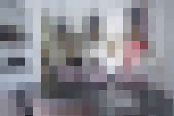 Roggeslootweg 720 De Cocksdorp thumbnail 10