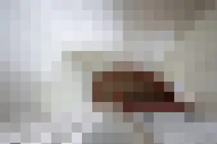 Roggeslootweg 720 De Cocksdorp thumbnail 19