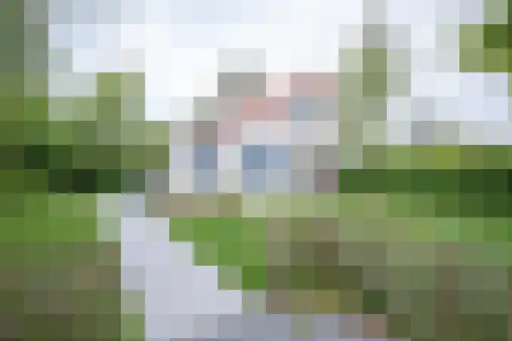 Roggeslootweg 720 De Cocksdorp thumbnail 31