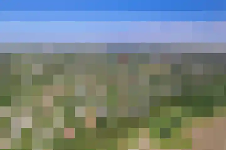 Roggeslootweg 720 De Cocksdorp thumbnail 33