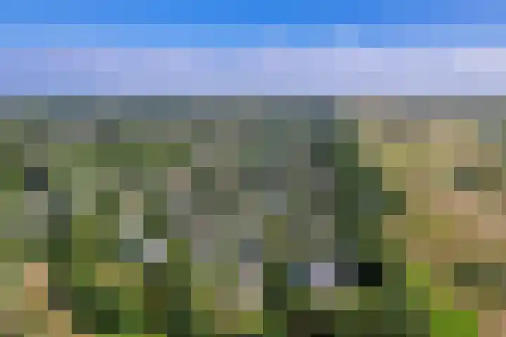 Roggeslootweg 720 De Cocksdorp thumbnail 35