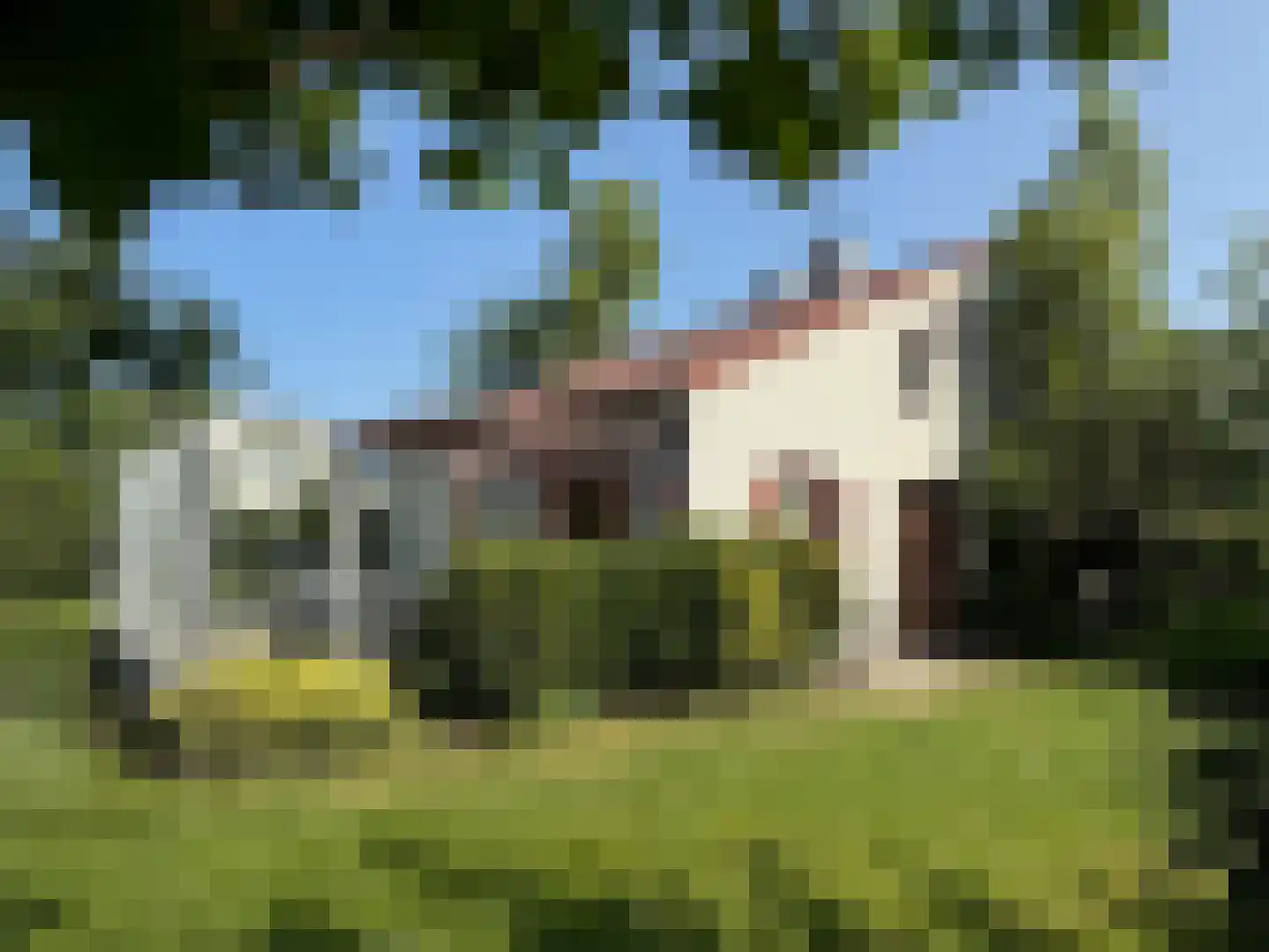 Roggeslootweg 721 De Cocksdorp thumbnail 5
