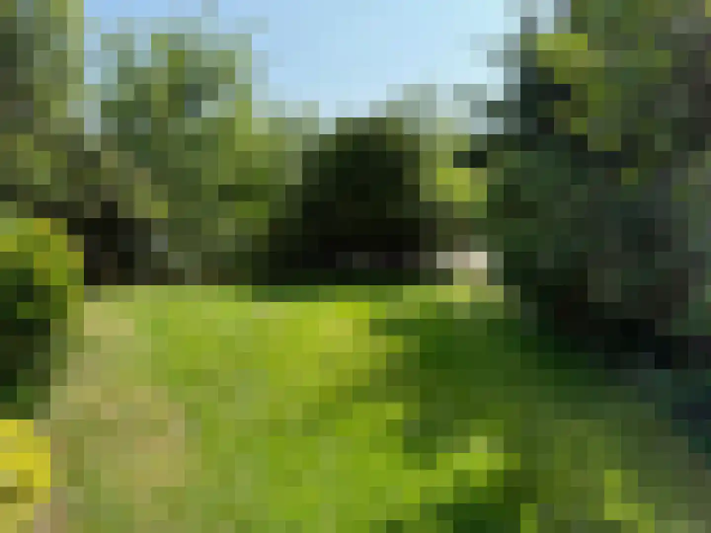 Roggeslootweg 721 De Cocksdorp thumbnail 9