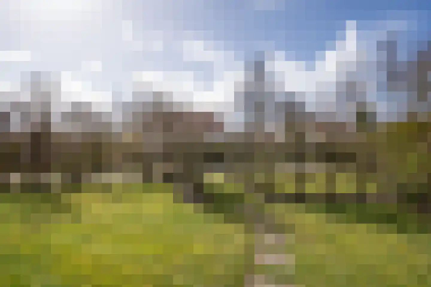 Roggeslootweg 724 De Cocksdorp thumbnail 41