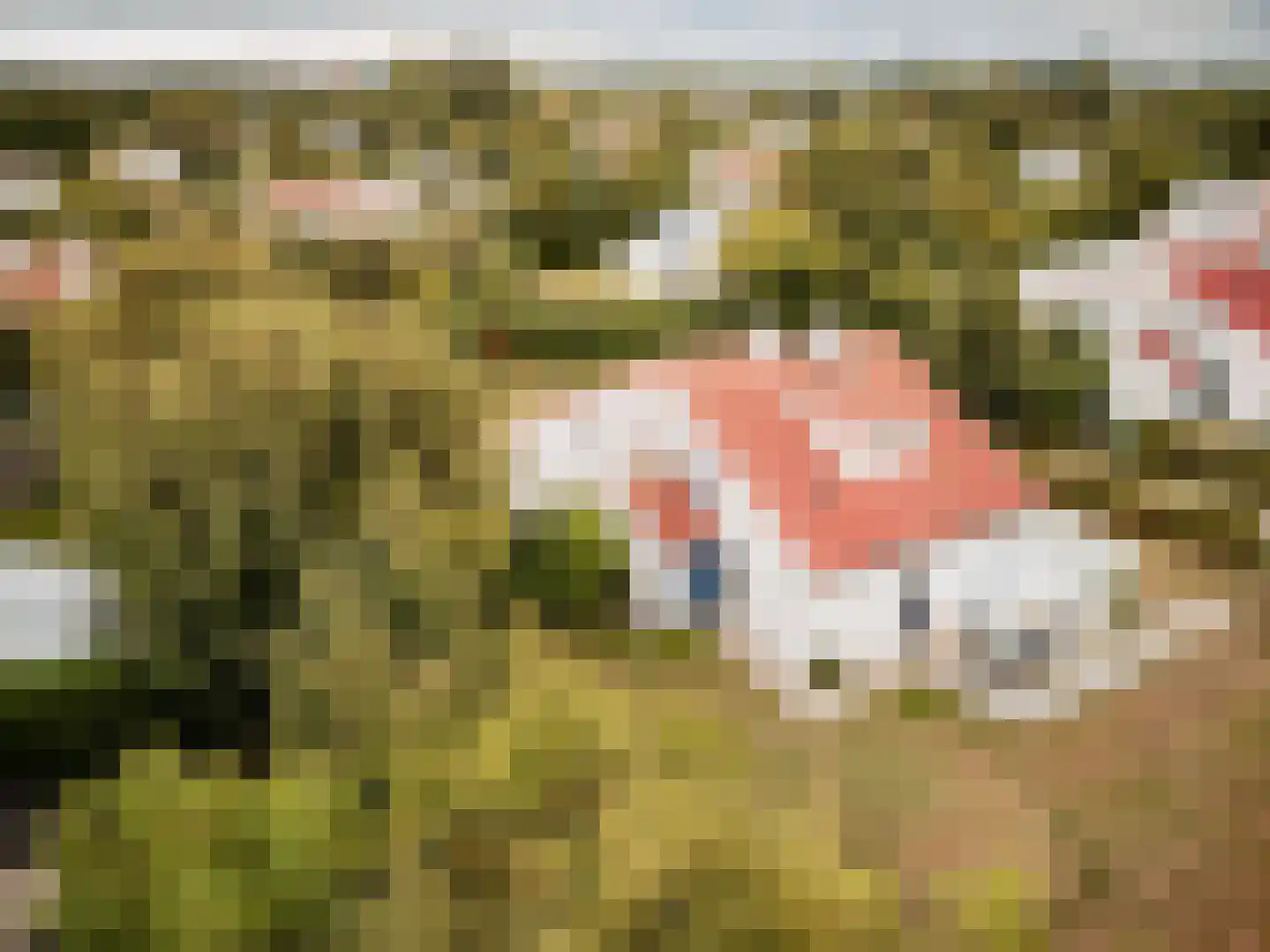 Roggeslootweg 732 De Cocksdorp thumbnail 10