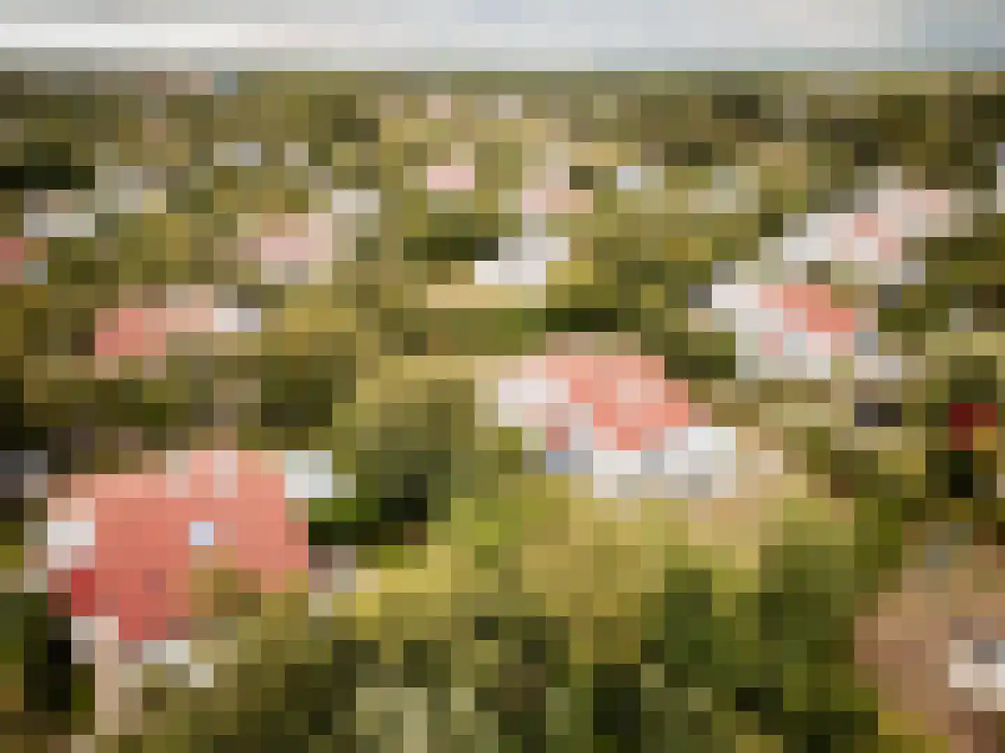 Roggeslootweg 732 De Cocksdorp thumbnail 11