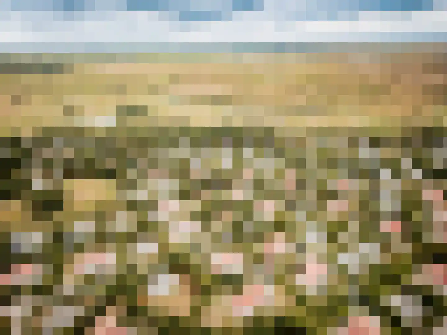 Roggeslootweg 732 De Cocksdorp thumbnail 23