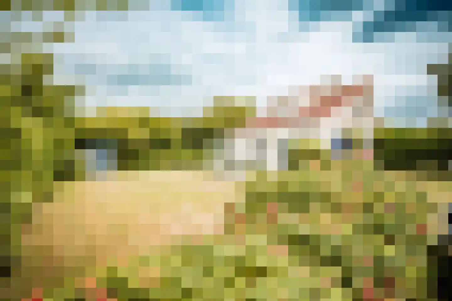 Roggeslootweg 732 De Cocksdorp thumbnail 4
