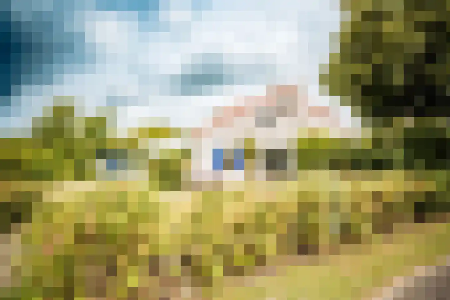 Roggeslootweg 732 De Cocksdorp thumbnail 5