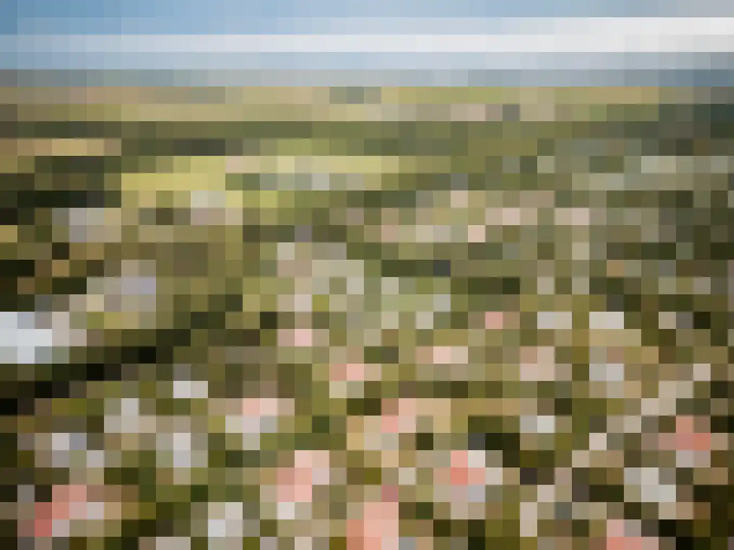 Roggeslootweg 732 De Cocksdorp thumbnail 8