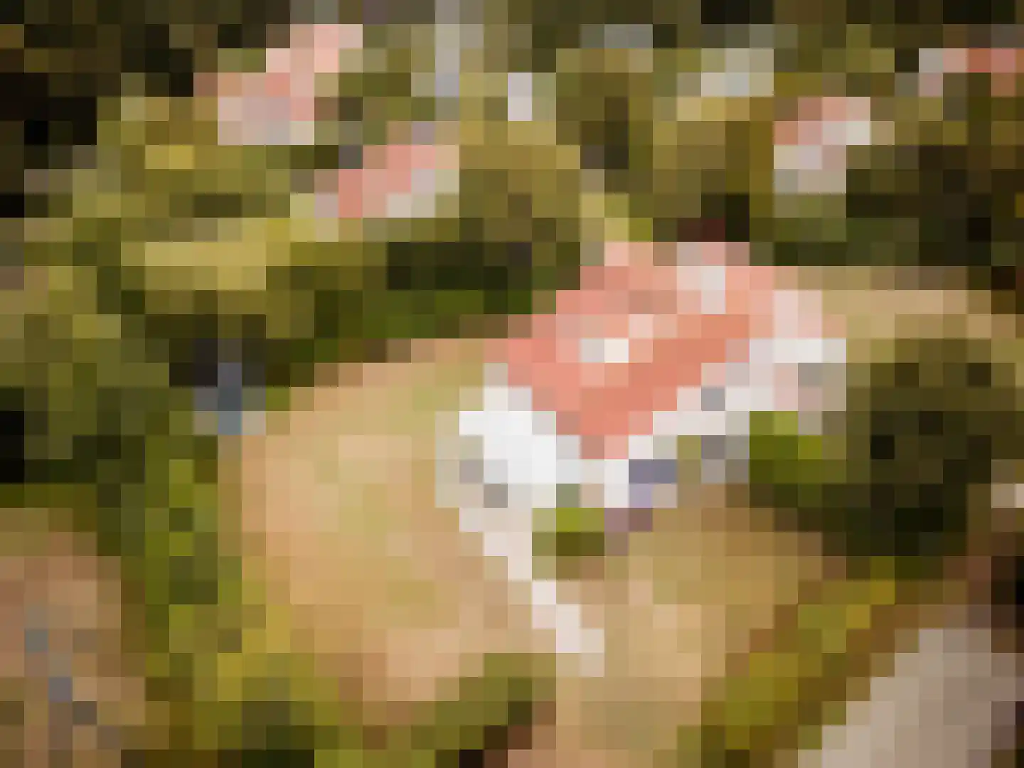 Roggeslootweg 732 De Cocksdorp thumbnail 9