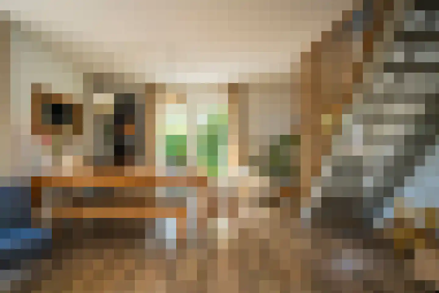 Roggeslootweg 75 De Cocksdorp thumbnail 10
