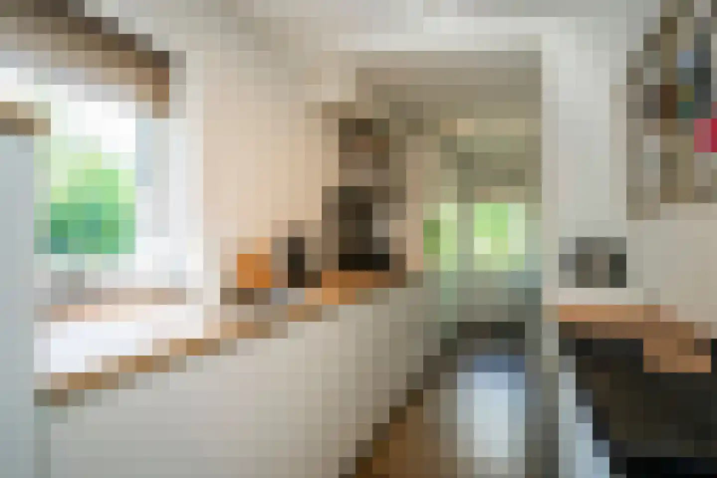 Roggeslootweg 75 De Cocksdorp thumbnail 12