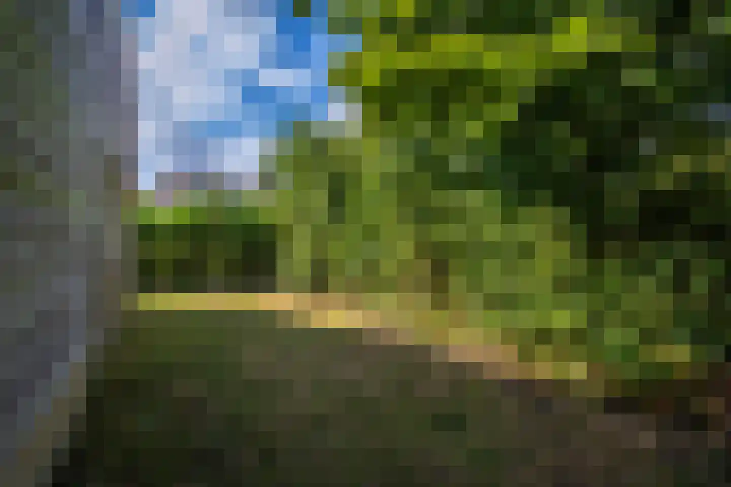 Roggeslootweg 75 De Cocksdorp thumbnail 32