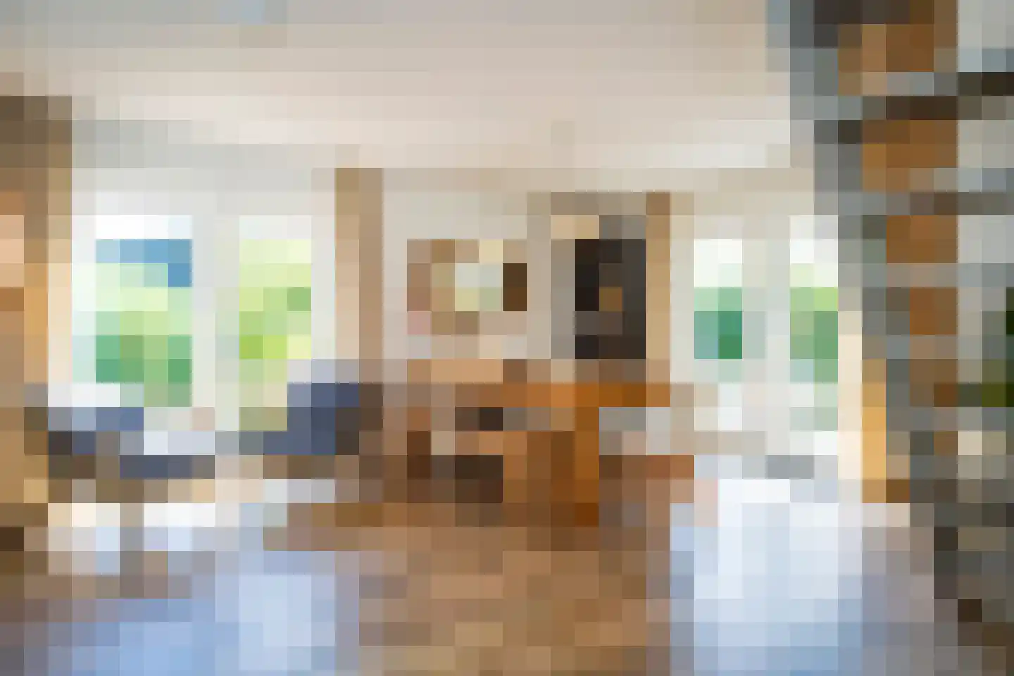 Roggeslootweg 75 De Cocksdorp thumbnail 7