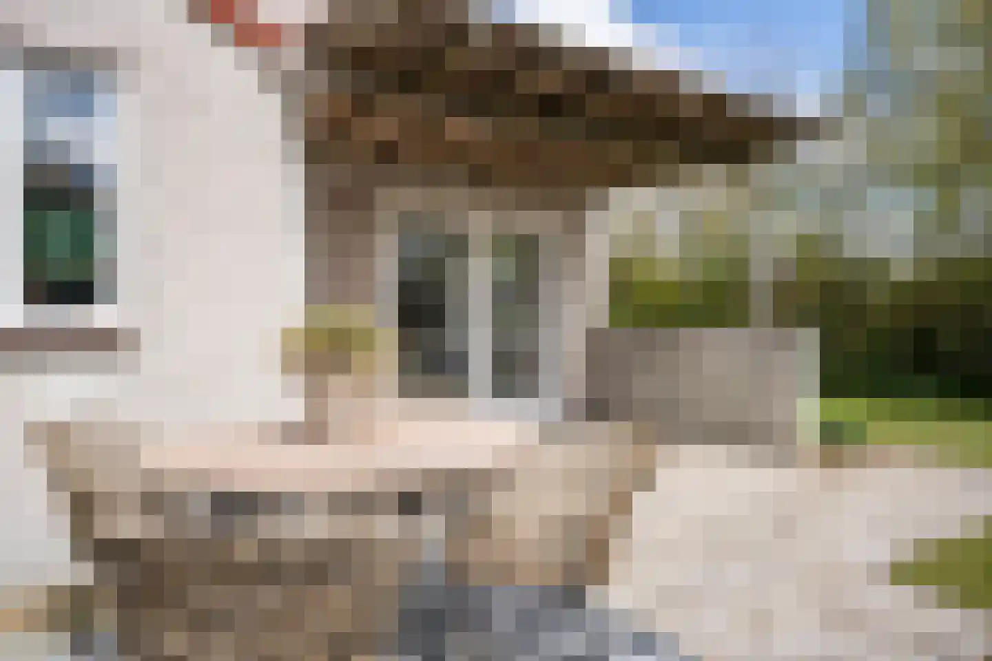 Roggeslootweg 752 De Cocksdorp thumbnail 47