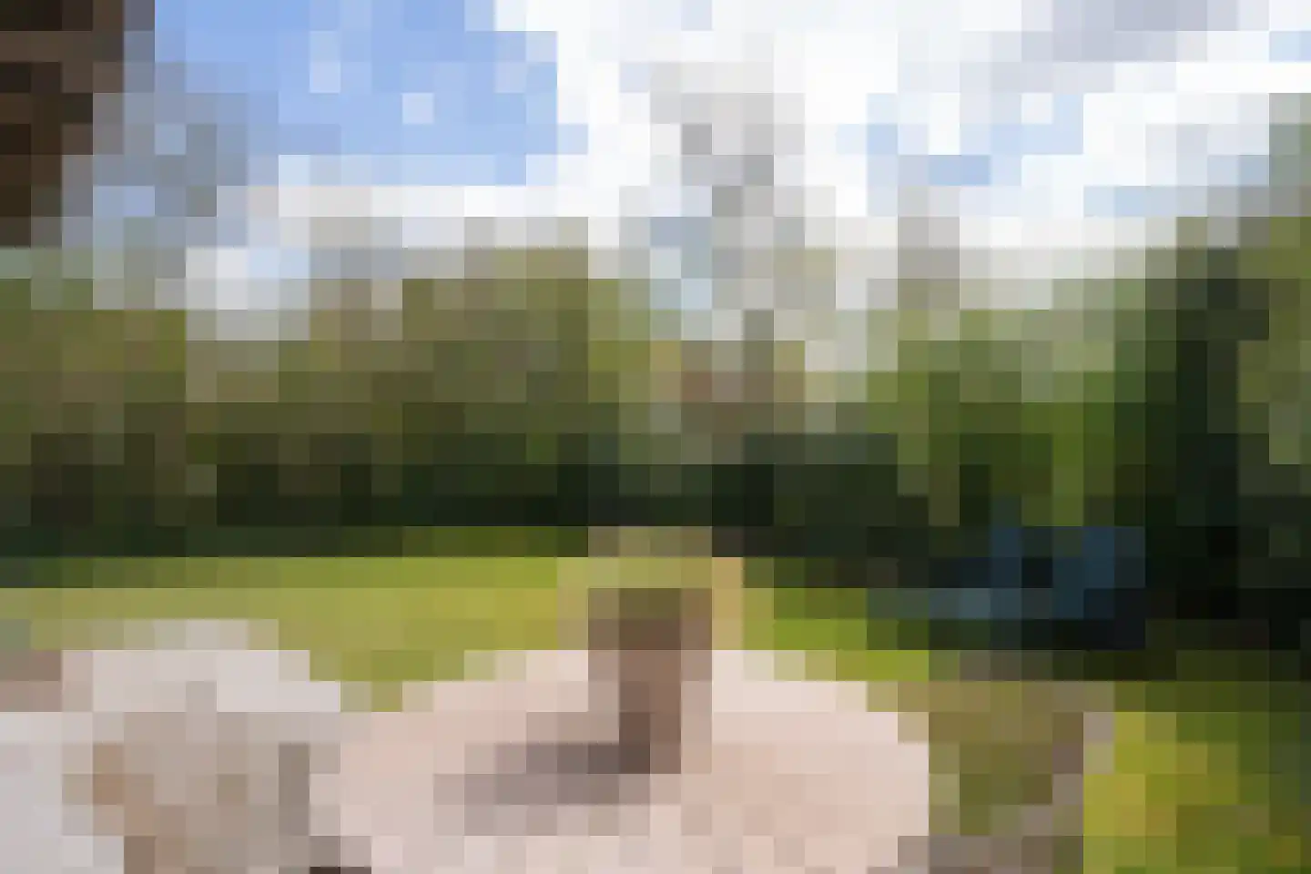 Roggeslootweg 752 De Cocksdorp thumbnail 48