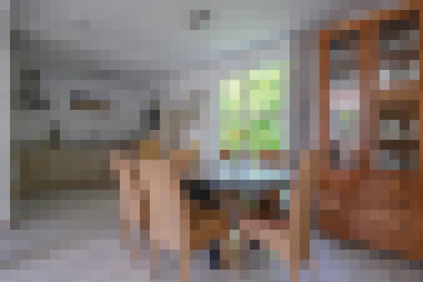 Roggeslootweg 769 De Cocksdorp thumbnail 11