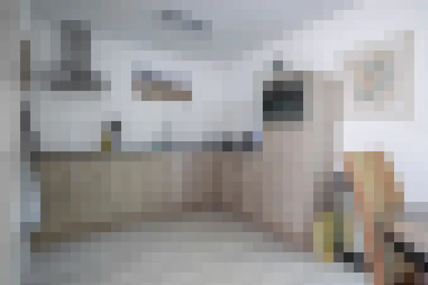 Roggeslootweg 769 De Cocksdorp thumbnail 12