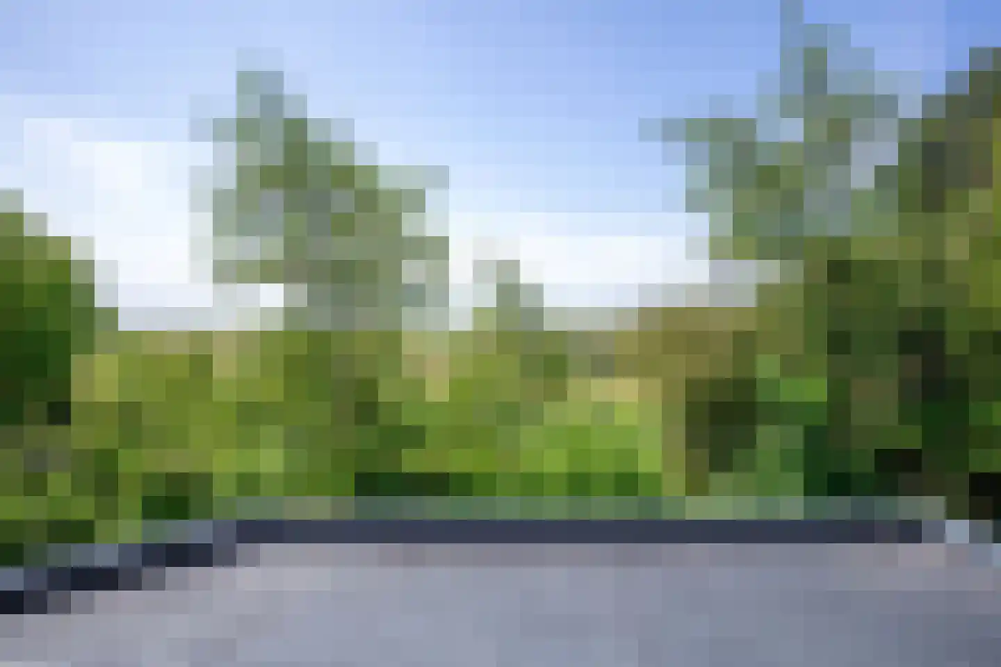 Roggeslootweg 769 De Cocksdorp thumbnail 31
