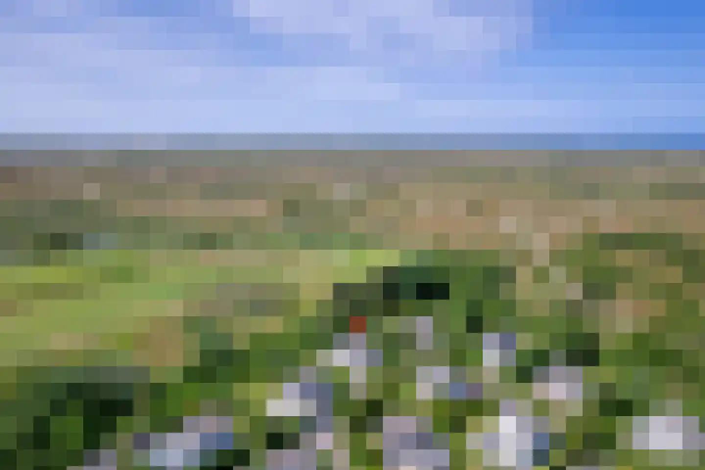 Roggeslootweg 769 De Cocksdorp thumbnail 4