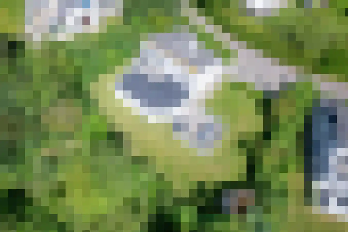 Roggeslootweg 769 De Cocksdorp thumbnail 43