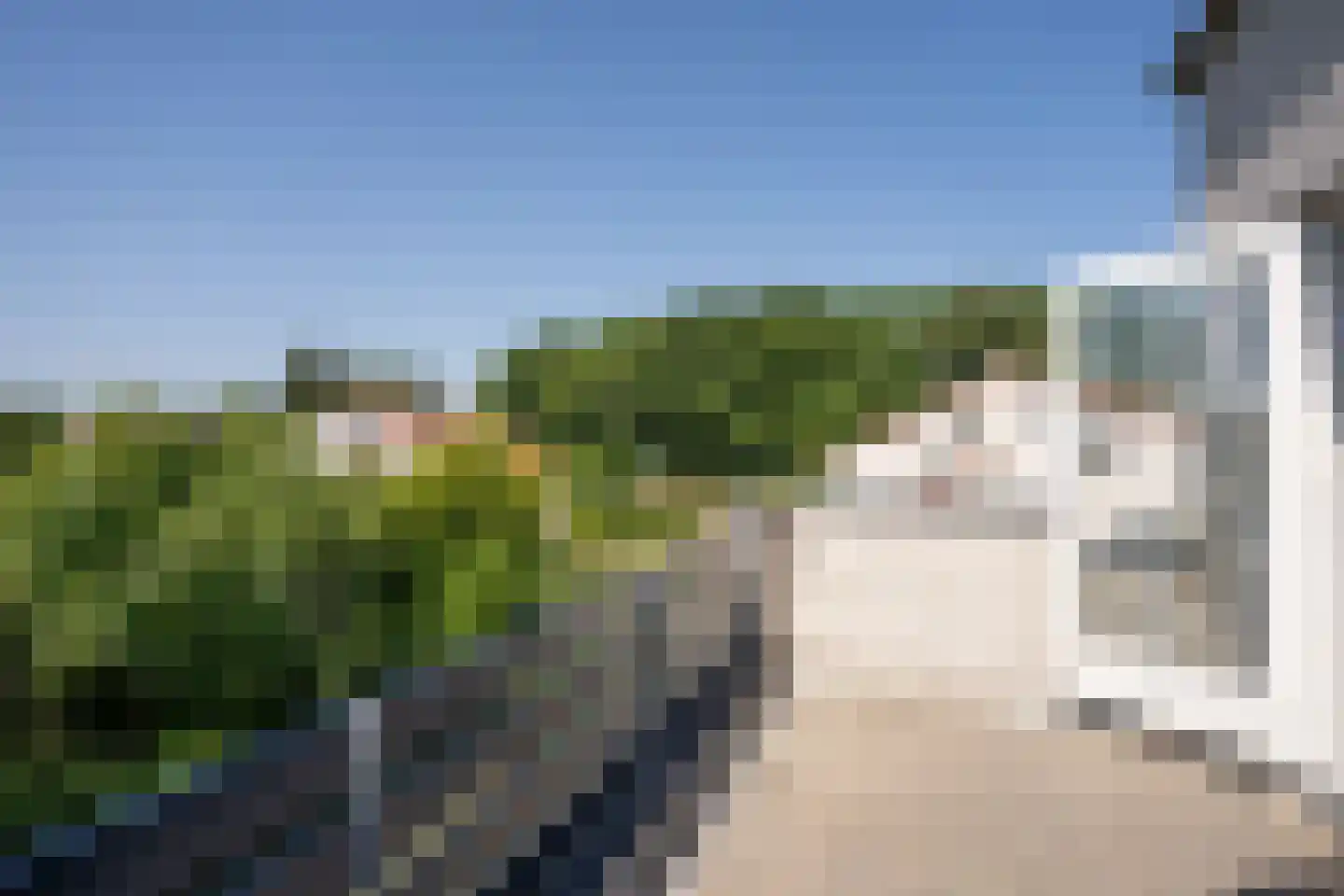Roggeslootweg 782 De Cocksdorp thumbnail 56